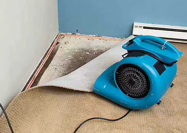 Your Water Damage Experts in Villa Rica, GA
