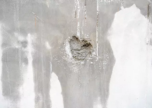 Your Mold Mitigation Solutions Partner in Villa Rica, GA