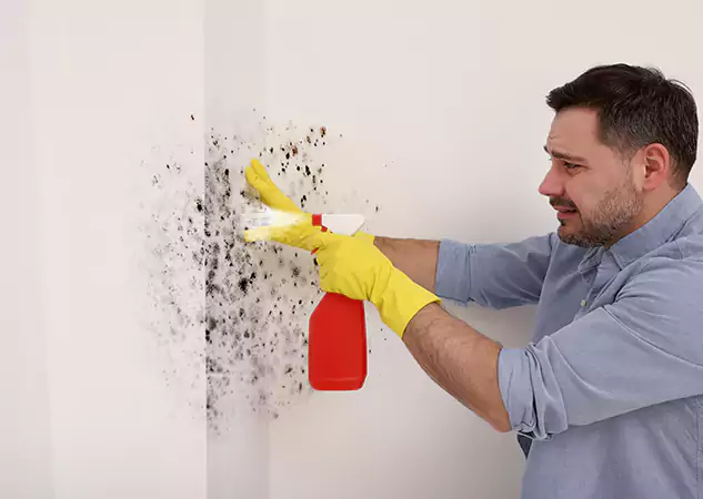 Your Water Mold Fire Restoration Partner in Villa Rica, GA