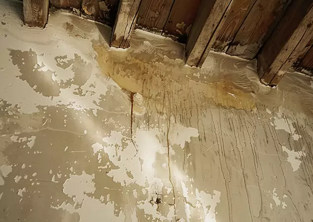 Your Trusted Restoration Company in Villa Rica, GA