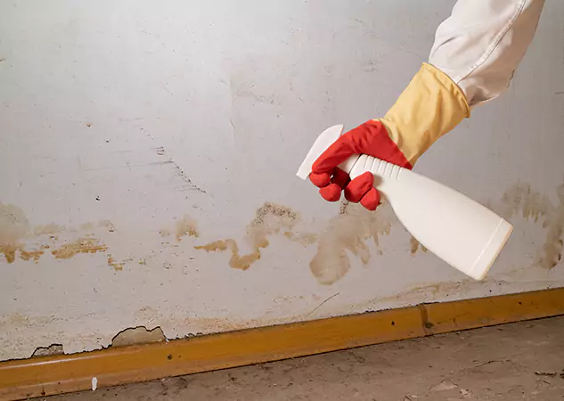 Your Water Restoration and Mold Remediation Specialists in Villa Rica, GA