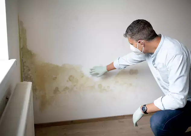 Reach Our Remediation Team Before Damage Grows in Villa Rica, GA!