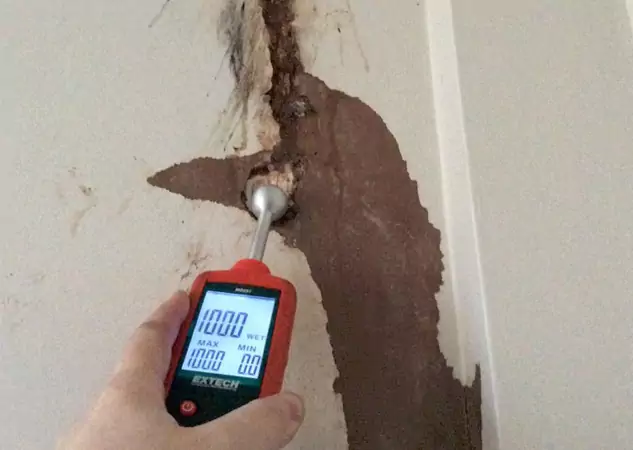 Your Water Damage Assessment Partner in Villa Rica, GA