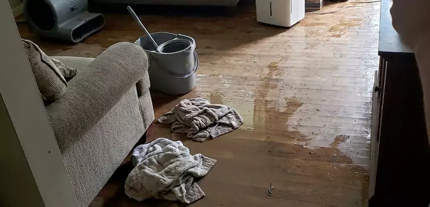 Professional Basement Water Remediation Services in Villa Rica, GA