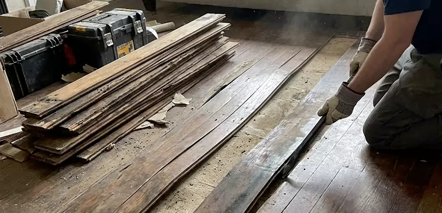 Wood Rot and Fungus Repair in Villa Rica