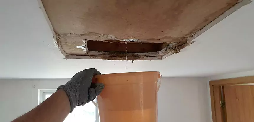 Ceiling Mold Repair Villa Rica
