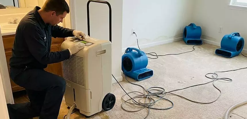 Professional Wet Carpet Removal Services in Villa Rica, GA