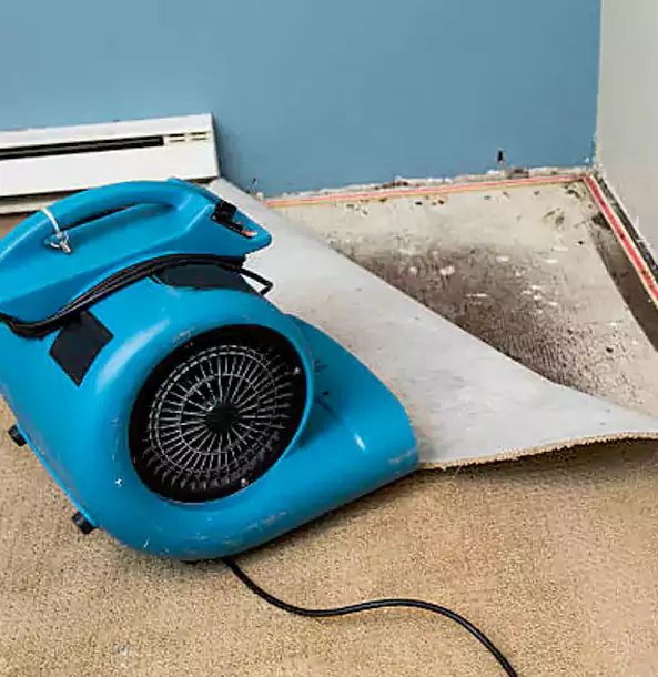 Why Villa Rica Trusts Villa Rica Restoration Pro for Carpet Flood Recovery?