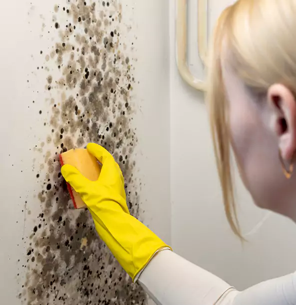 Why Villa Rica Restoration Pro Leads Mold Remediation in Villa Rica?