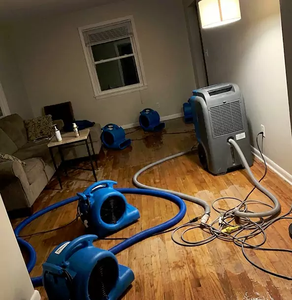 Why Villa Rica Property Owners Rely on Villa Rica Restoration Pro for Remediation?