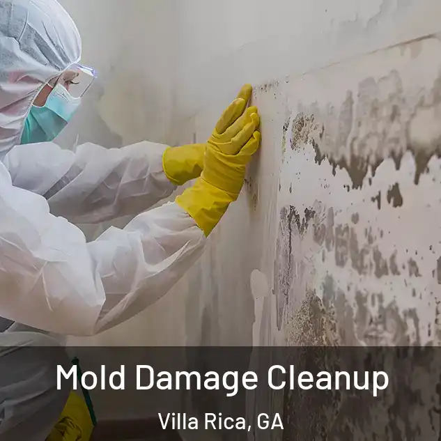  Mold Damage Cleanup Villa Rica, GA