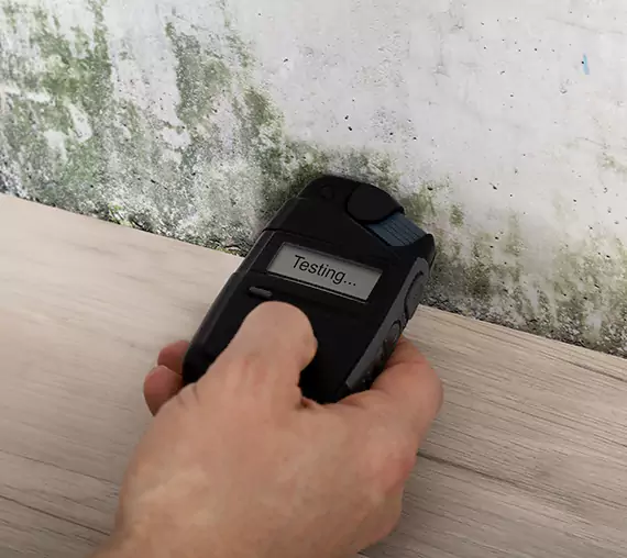 Mold Remediation Service Villa Rica